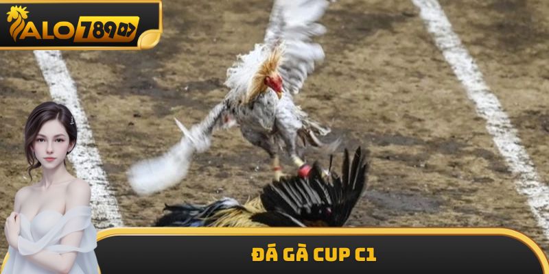 Đá Gà Cup C1 ALO789 - Điểm Hấp Dẫn Dành Cho Khách Hàng