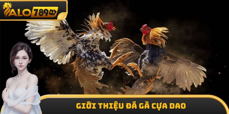 Giới thiệu đá gà cựa dao