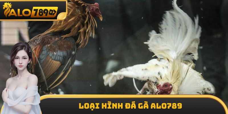 Loại hình đá gà ALO789