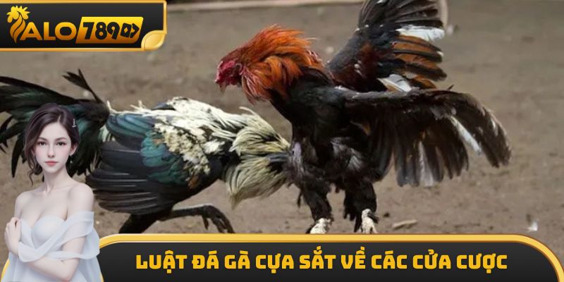Luật đá gà cựa sắt về các cửa cược tại ALO789