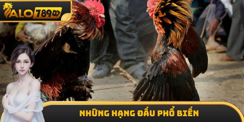 Những hạng đấu được quy định trong bộ luật đá gà miền Nam