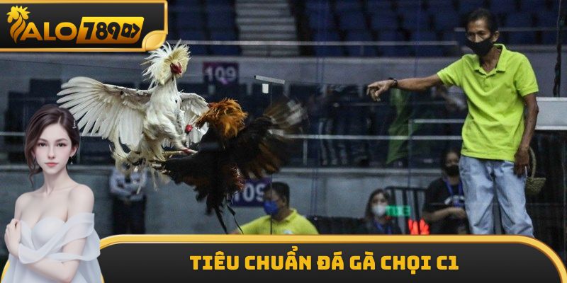 Tiêu chuẩn đá gà chọi C1