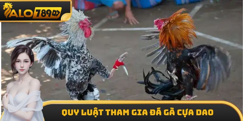 Quy luật tham gia trực tiếp đá gà cựa dao chi tiết nhất cho tân thủ