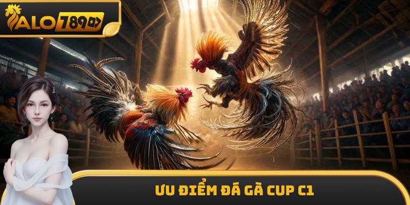 Ưu điểm đá gà Cup C1
