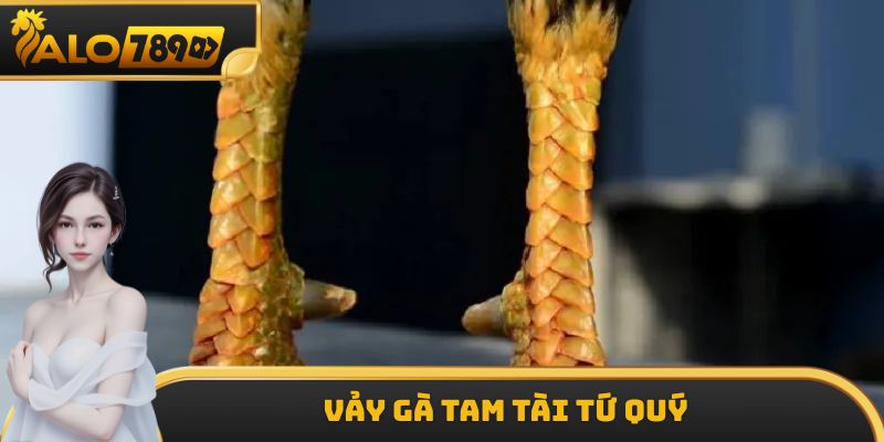 Vảy Gà Tam Tài Tứ Quý - Mẹo Chọn Gà Chiến Chuẩn